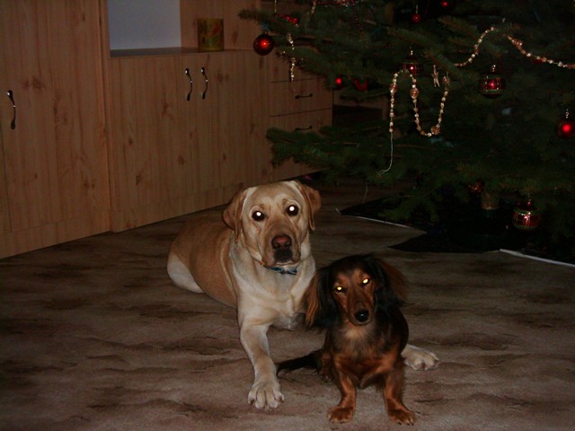Helinka a Peggy