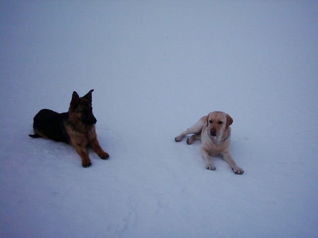 Chukky a Helly